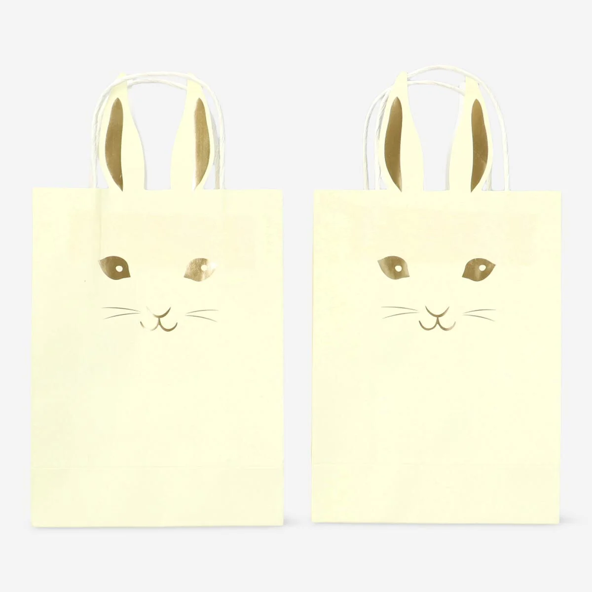 P148273   2pcs gift bags 