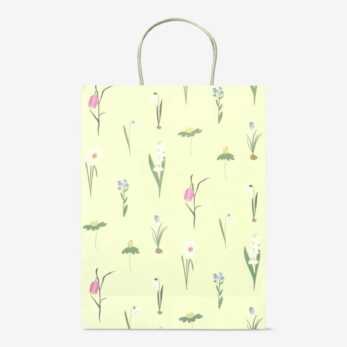 P148275 Gift bag 