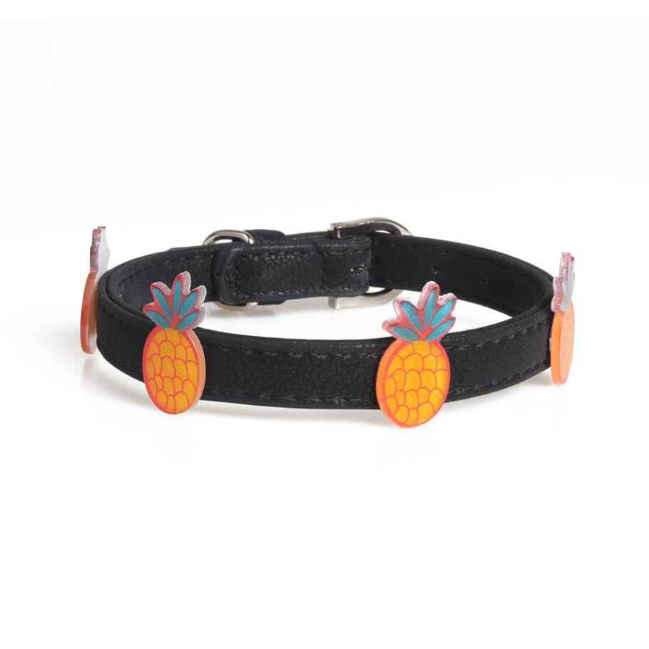 P510714-2 Pet  collar  
