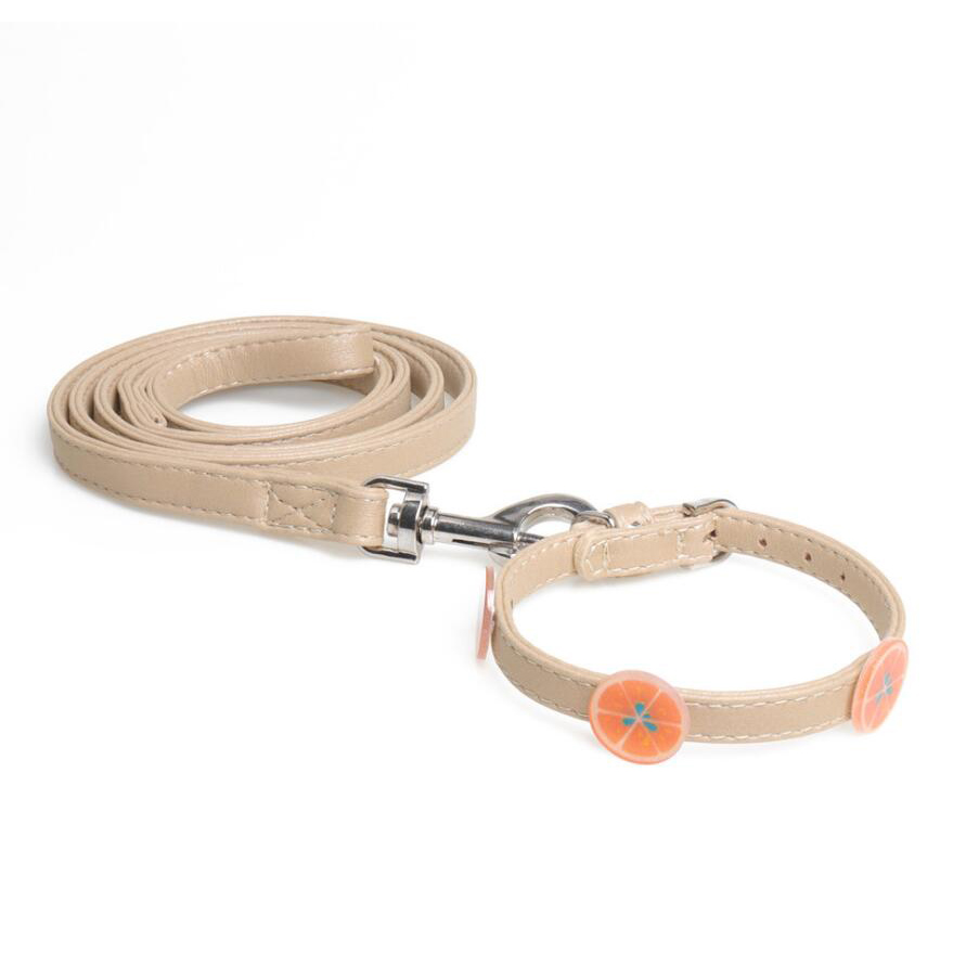 P510715 Pet  collar  