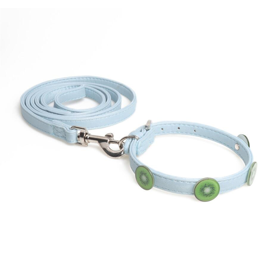 P510716 Pet  collar  