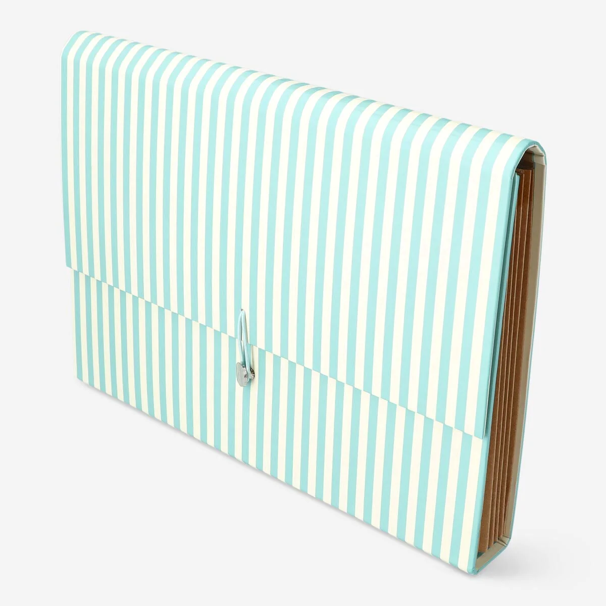 P303240 Document organiser with five pockets. A4，24x33x4.2cm